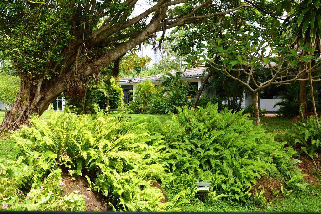 River View Banquet & Resort Wadduwa Eksteriør bilde